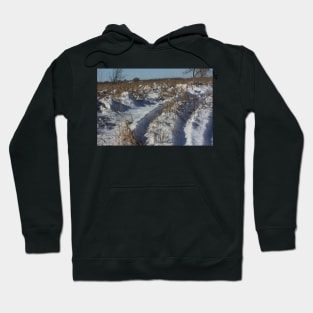 Track's in the Snow in Kansas Hoodie